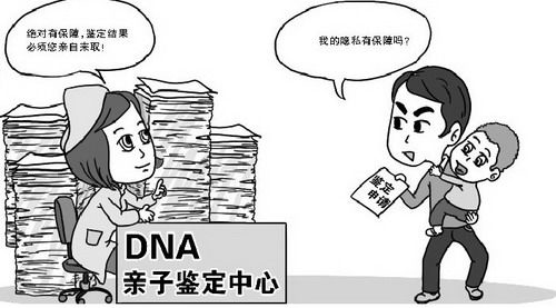 昆山私密亲子鉴定条件和材料,